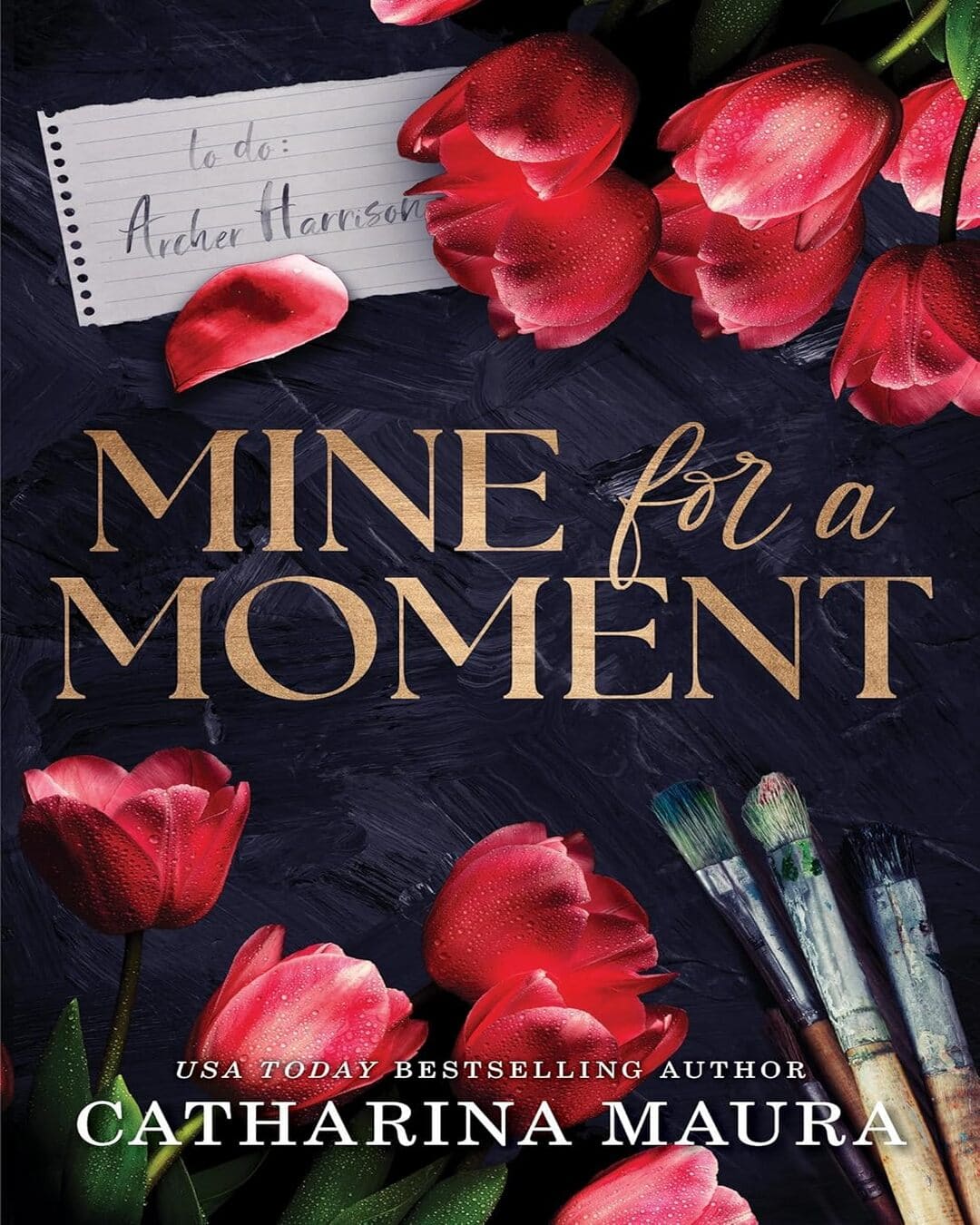 mine-for-a-moment-catharina-maura-sourcebooks