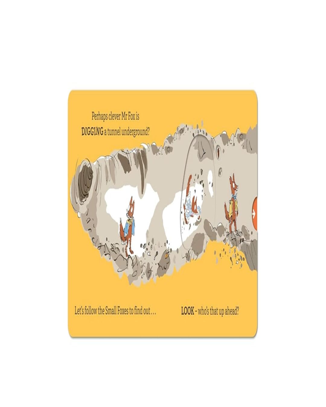 roald-dahl-can-you-find-fantastic-mr-fox-an-interactive-slide-and-seek-book-for-toddlers-roald-dahl-penguin-random-house
