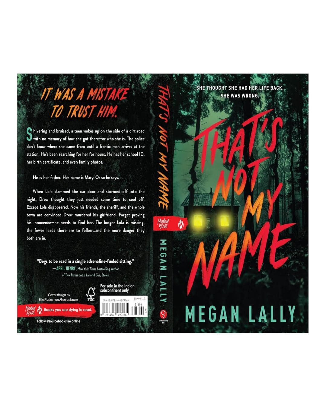 thats-not-my-name-megan-lally-sourcebooks