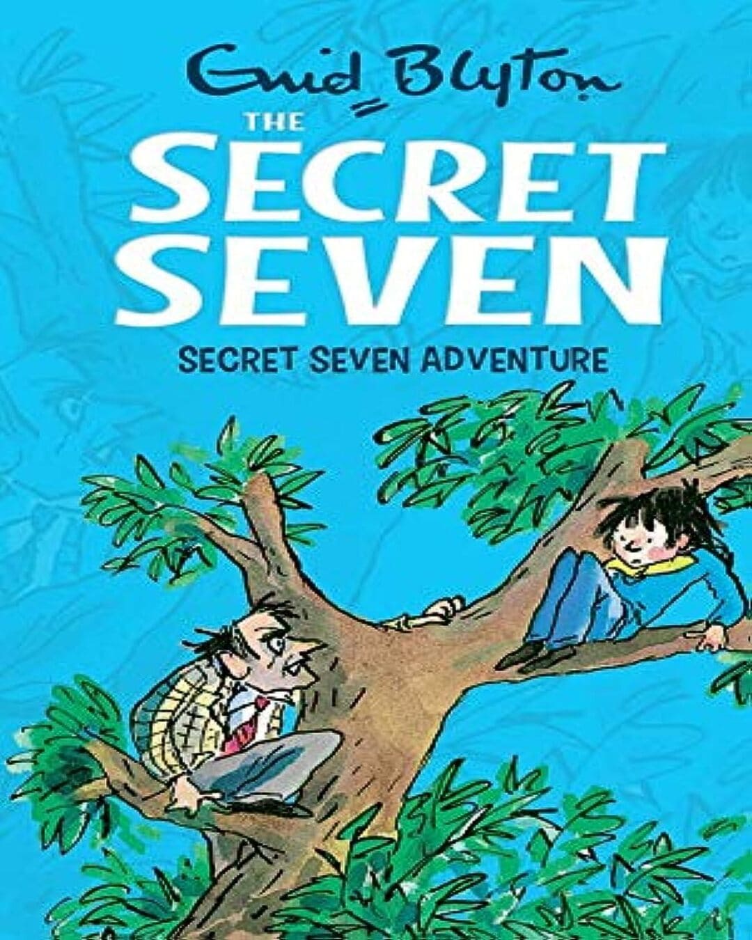 secret-seven-adventure-02-enid-blyton-hodder-stoughton