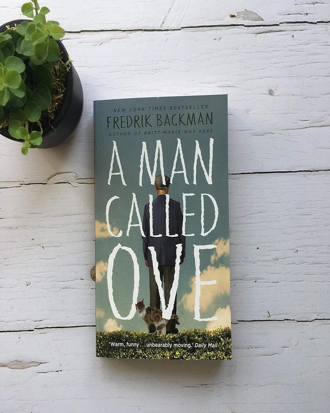 a-man-called-ove-fredrik-backman-sceptre