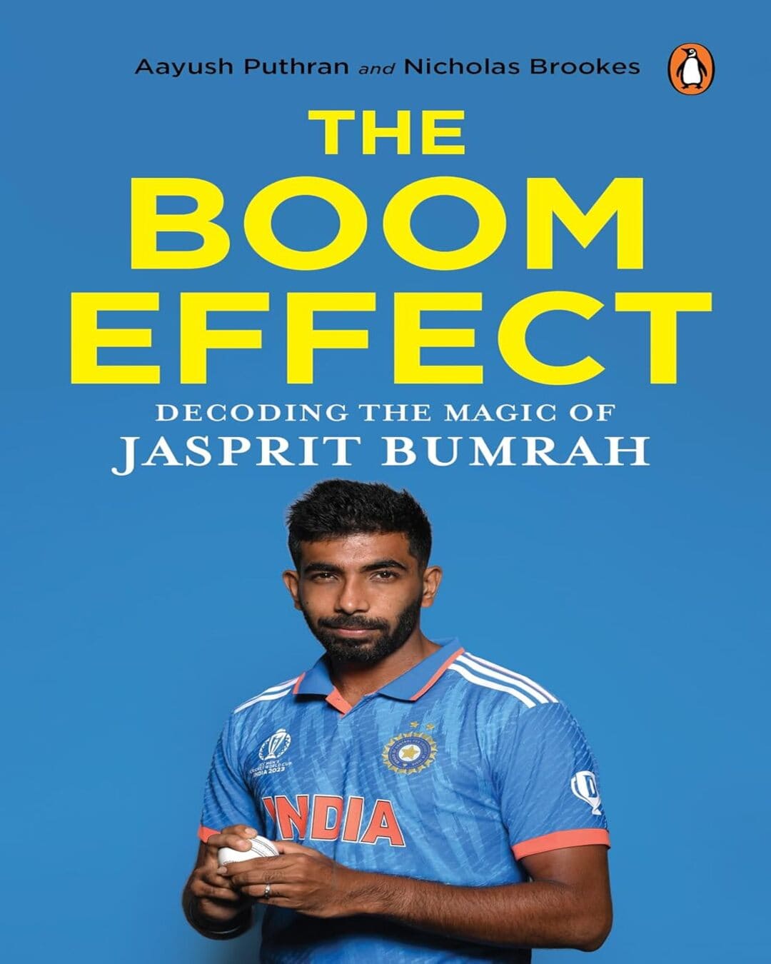 the-boom-effect-aayush-puthran-nicholas-brookes-penguin-random-house