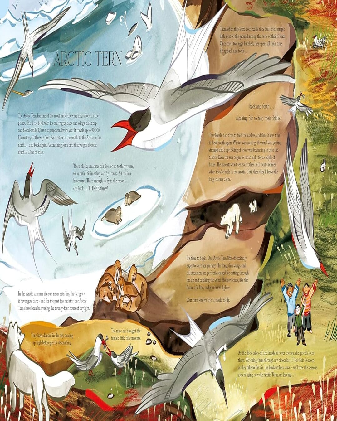 Flight by Mya-Rose Craig, Lynn Scurfield (Illustrator) [Hardcover] - versoz.com