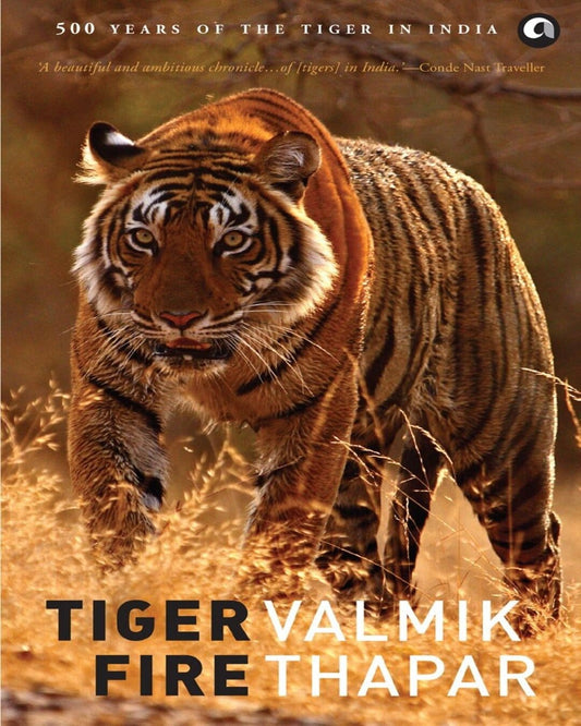 TIGER FIRE: 500 YEARS OF THE TIGER IN INDIA by Valmik Thapar [Paperback] - versoz.com