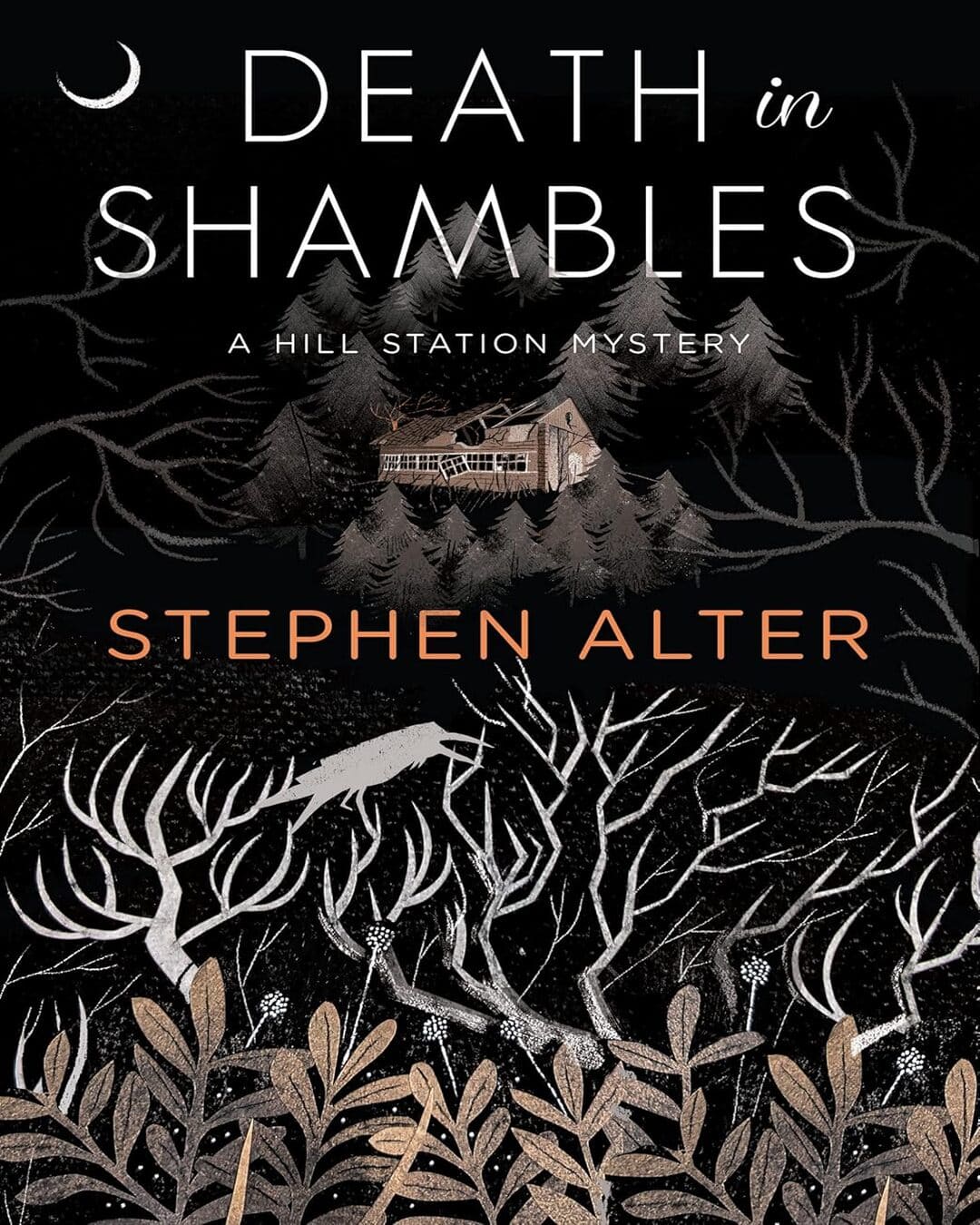 Death in Shambles: A Hill Station Mystery by Stephen Alter [Hardcover] - versoz.com