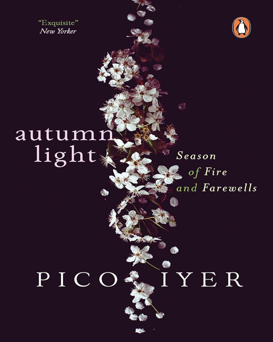 Autumn Light: Season Of Fire And Farewells by Pico Iyer [Paperback] - versoz.com