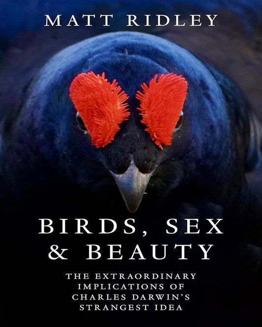 Birds, Sex and Beauty : The Extraordinary Implications of Charles Darwin’s Strangest Idea by Matt Ridley [Paperback] - versoz.com