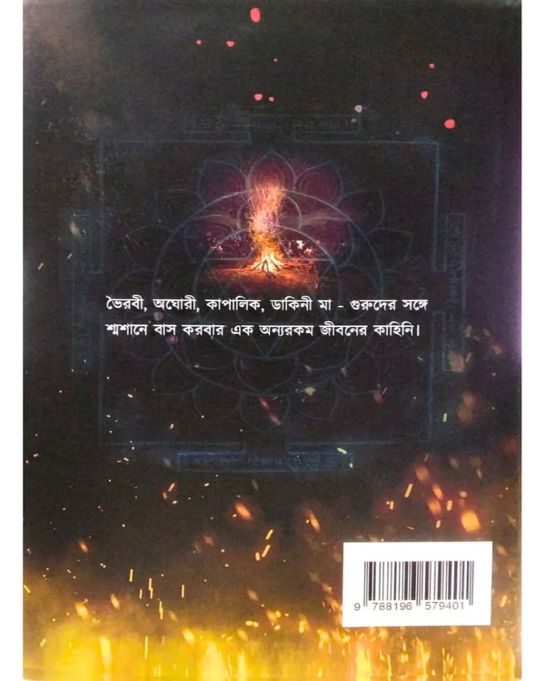 Tantrik Bhairavi Aghori Katha by Somabrata Sarkar  [Hardcover]