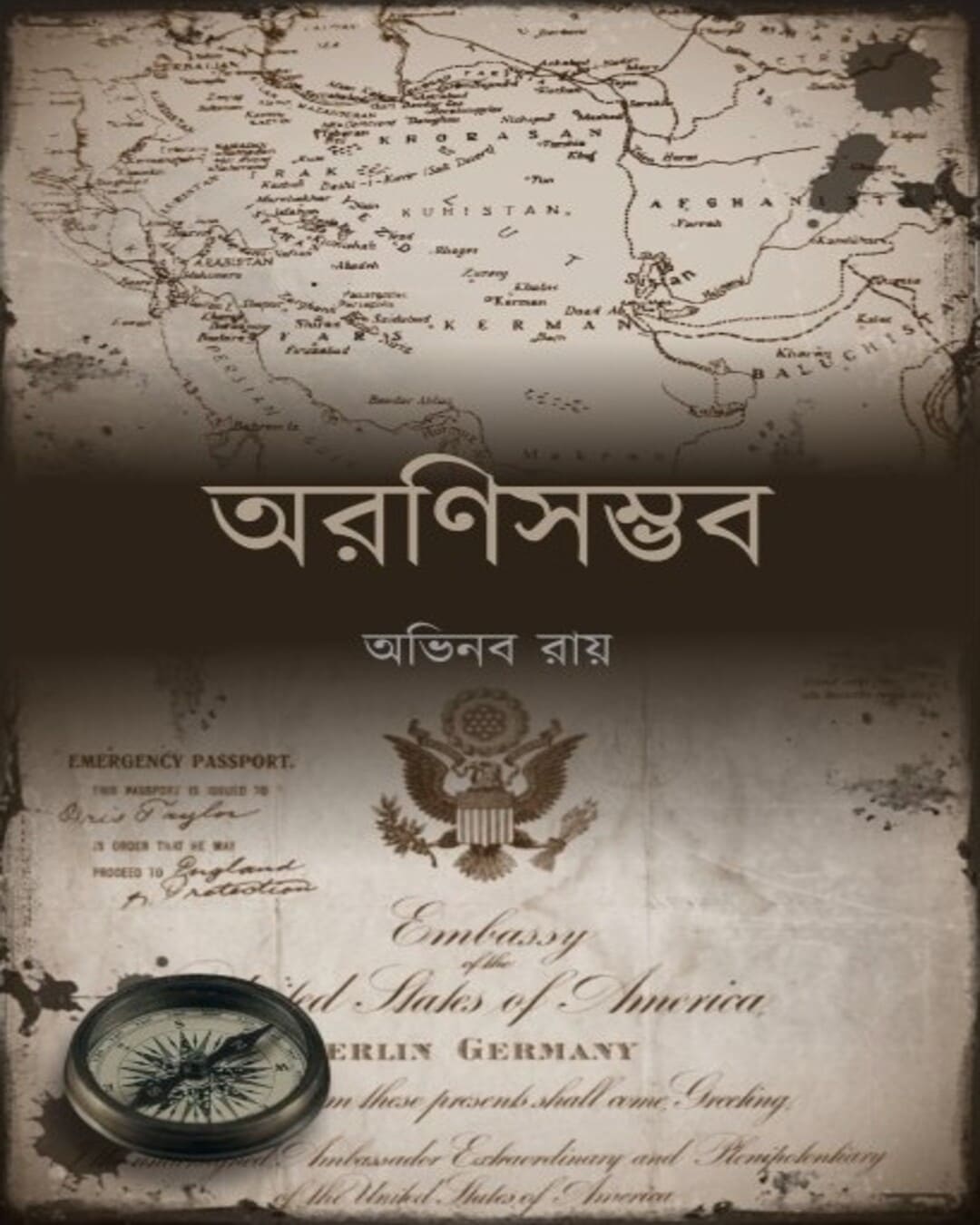 Aranisamvab by Avinaba Roy [Paperback] - versoz.com
