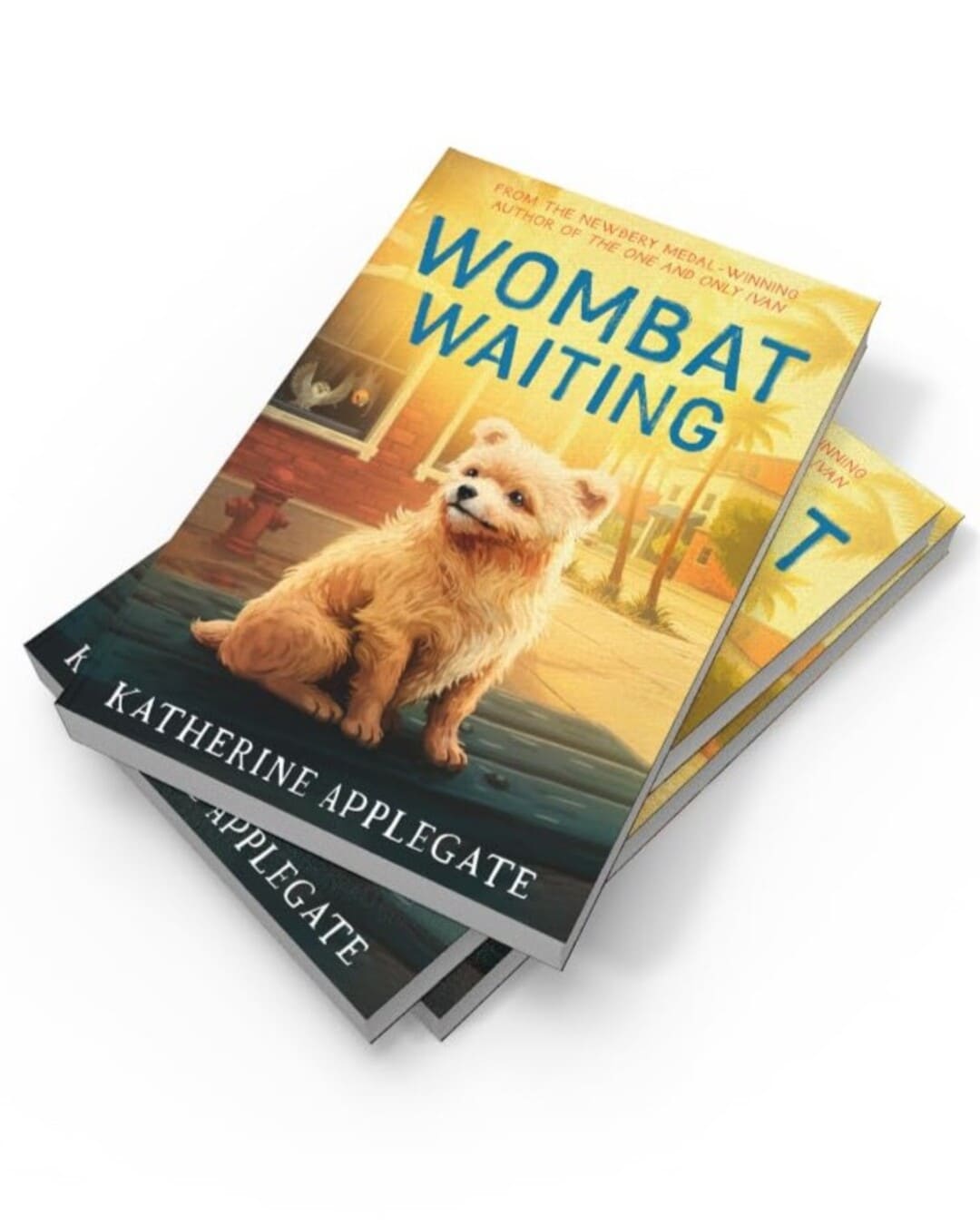 Wombat Waiting by Katherine Applegate [Paperback]