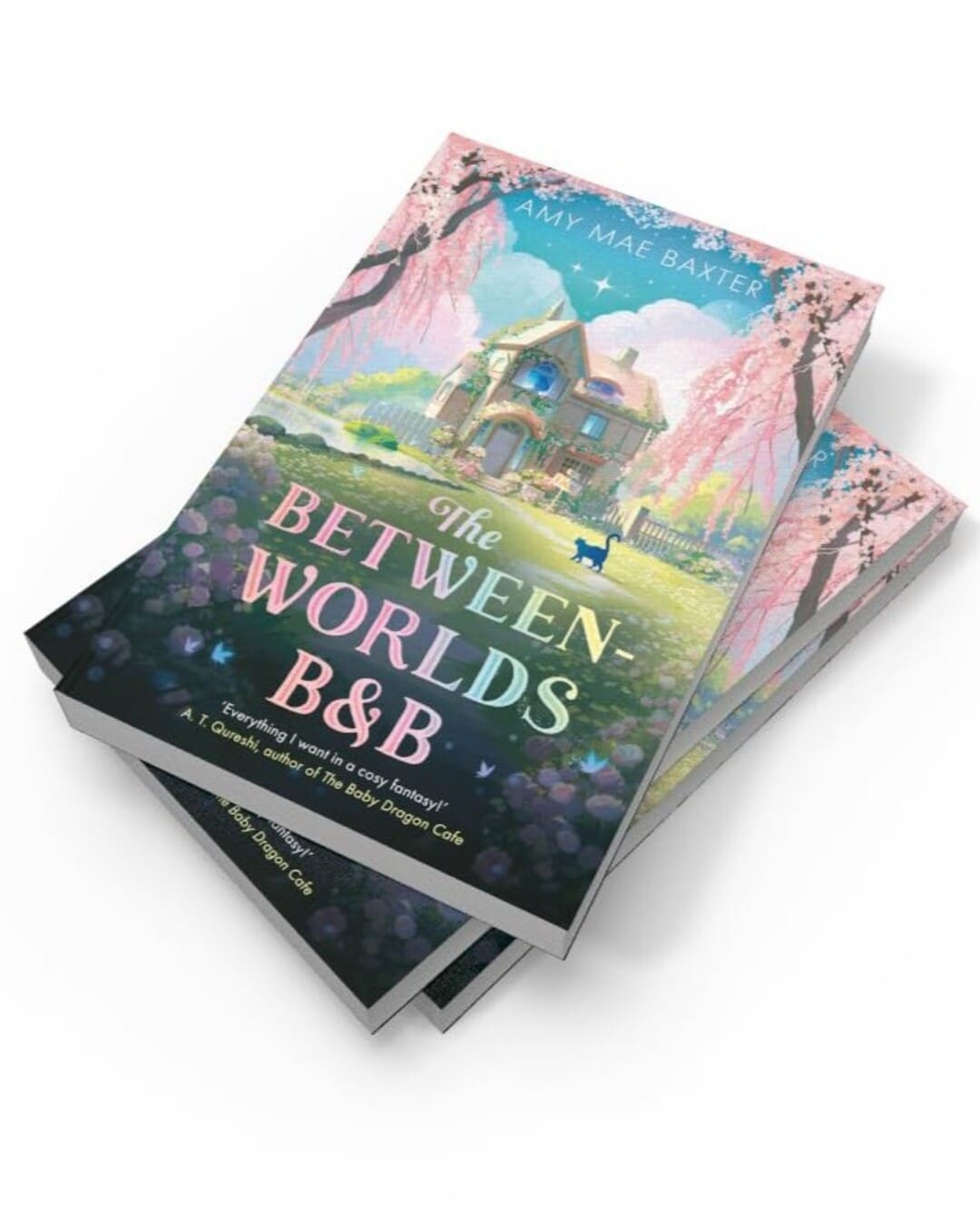 The Between-Worlds B&B by Amy Mae Baxter [Paperback]