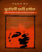 Duhkhini Sati Charit : Unish Shataker Banglay Meyeder Upanyas by Anuradha Roy [Paperback]
