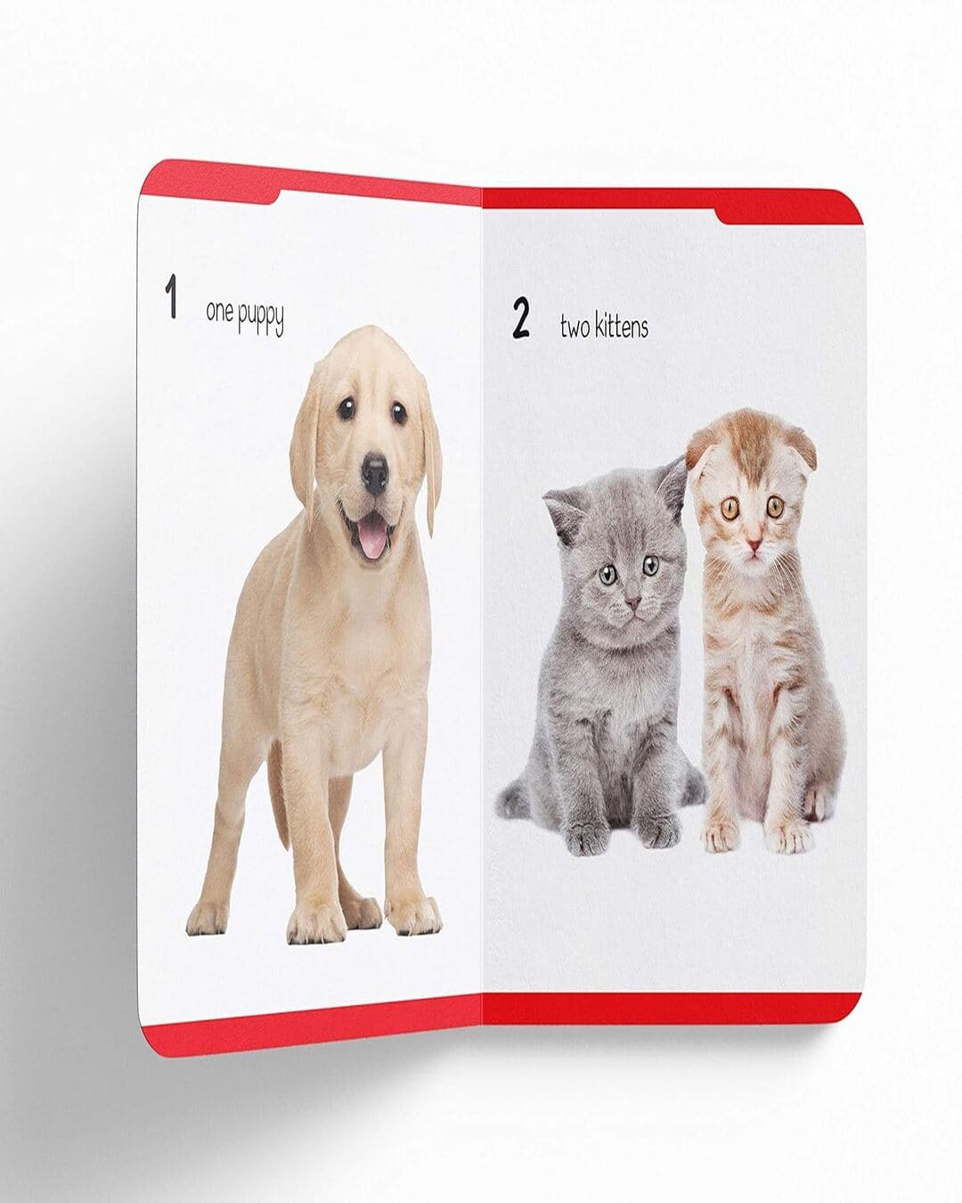 My First Padded Book of Numbers: Early Learning Padded Board Books for Children by Wonder House Books [Board book] - versoz.com
