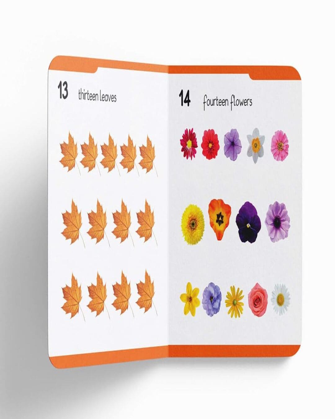 My First Padded Book of Numbers: Early Learning Padded Board Books for Children by Wonder House Books [Board book] - versoz.com