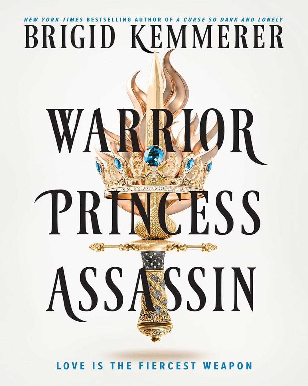 Warrior Princess Assassin by Brigid Kemmerer [Paperback]