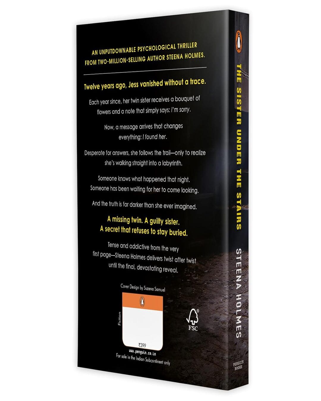 The Sister Under The Stairs by Steena Holmes [Paperback]