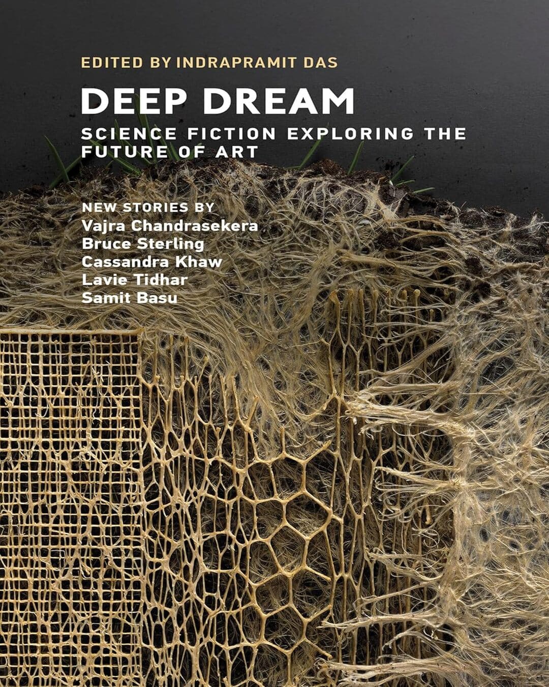 Deep Dream by Indrapramit Das [Paperback]
