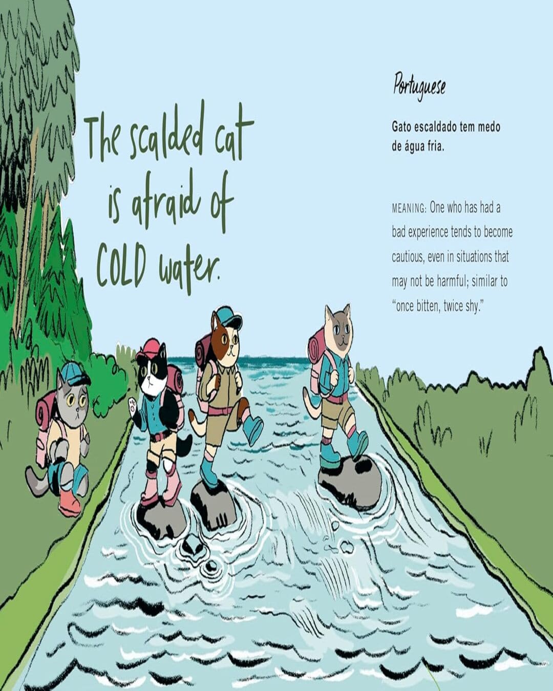 Cat Got Your Tongue?: Curious Feline Phrases From Around The World by Hannah Shaw [Hardcover]