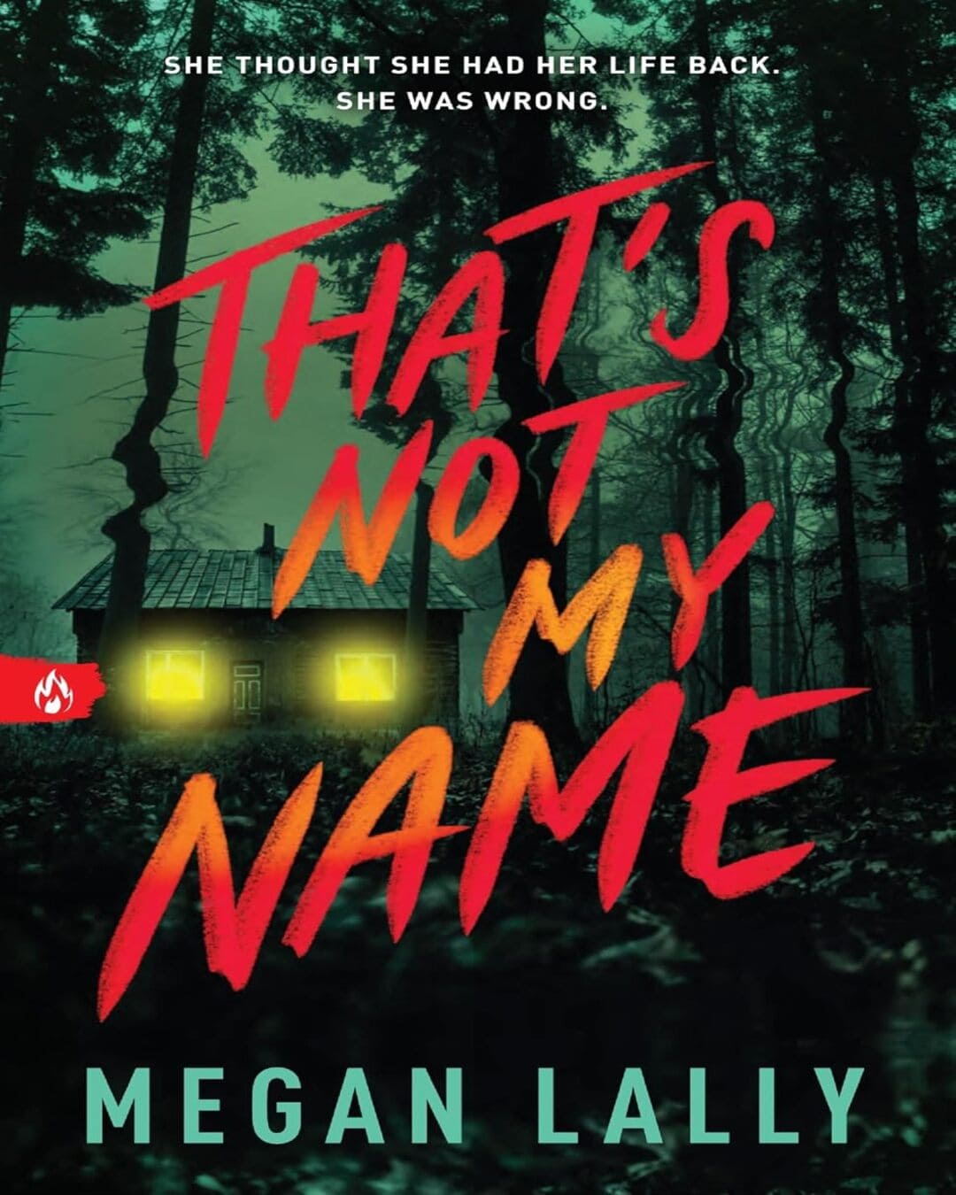 thats-not-my-name-megan-lally-sourcebooks