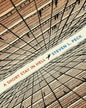 a-short-stay-in-hell-steven-l-peck-penguin-random-house