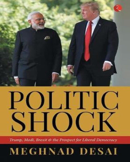 politicshock-meghnad-desai-rupa-publications