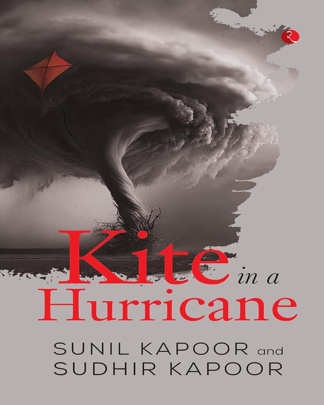 Kite In A Hurricane by Sunil Kapoor and Sudhir Kapoor [Hardcover]