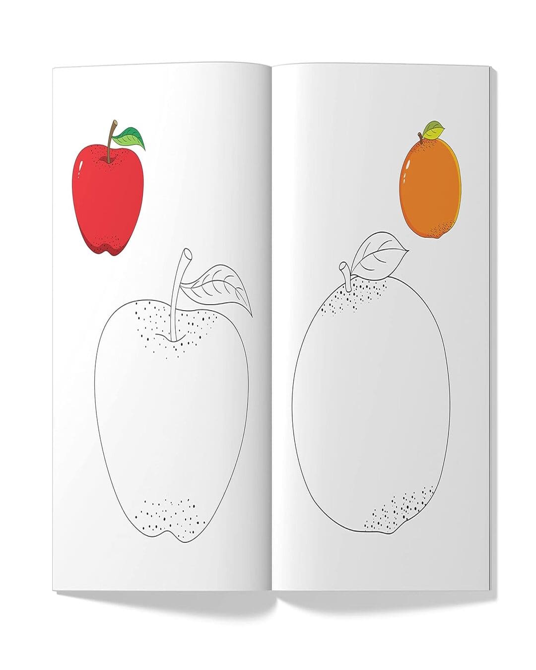 Little Artist Series Fruits: Copy Colour Books by Wonder House Books [Paperback]