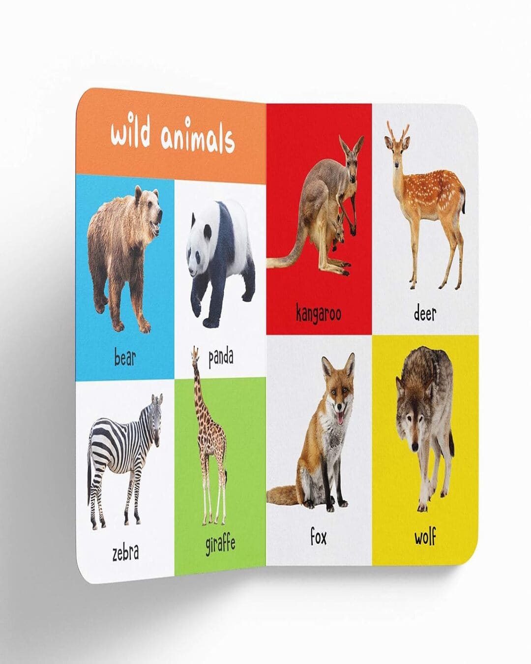 My First 100 Animals And Birds: Padded Board Books by Wonder House Books by Wonder House Books [Board book ] - versoz.com