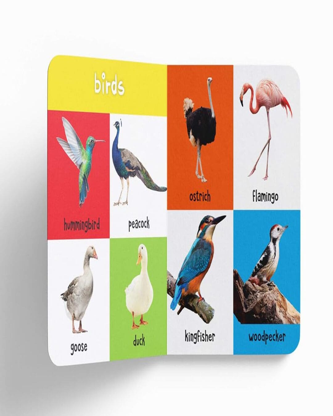 My First 100 Animals And Birds: Padded Board Books by Wonder House Books by Wonder House Books [Board book ] - versoz.com