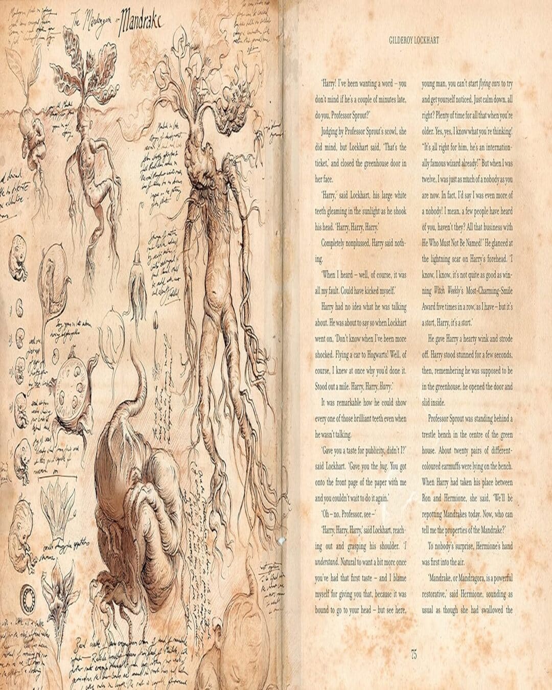 Harry Potter And The Chamber Of Secrets Illustrated Ed. by J K Rowling [Hardcover] - versoz.com