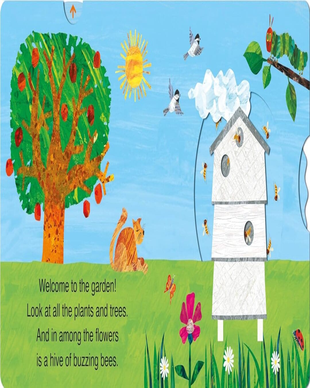 The Very Hungry Caterpillarâ€™S Garden by Carle Eric [Board book] - versoz.com
