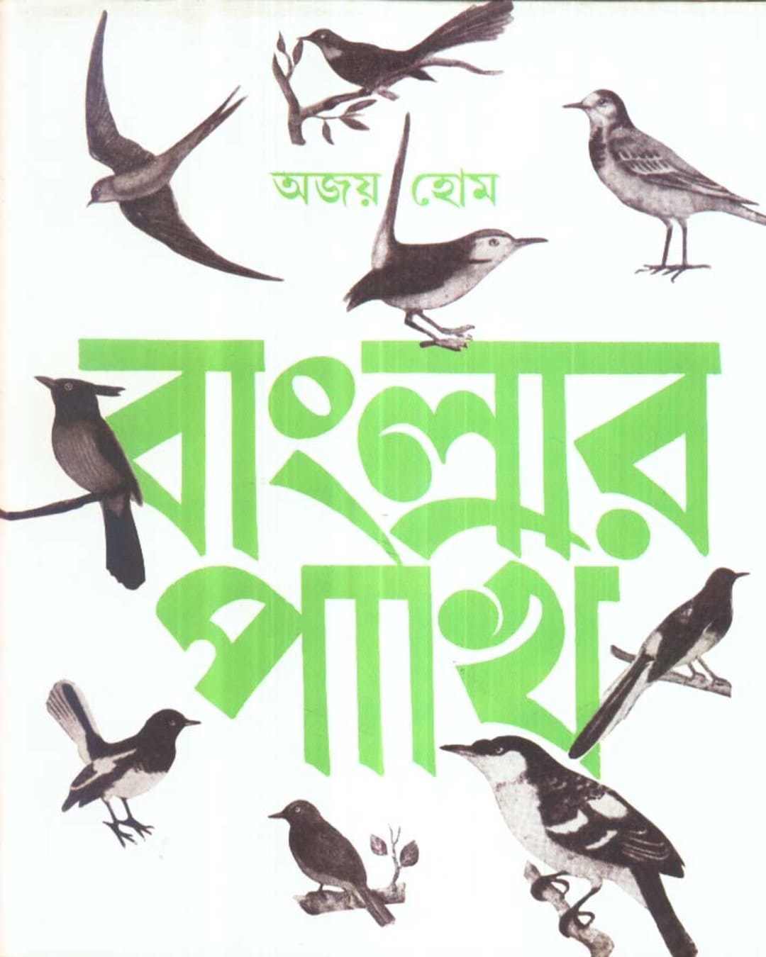 Banglar Pakhi (Vol 1) by Ajoy Home [Hardcover]