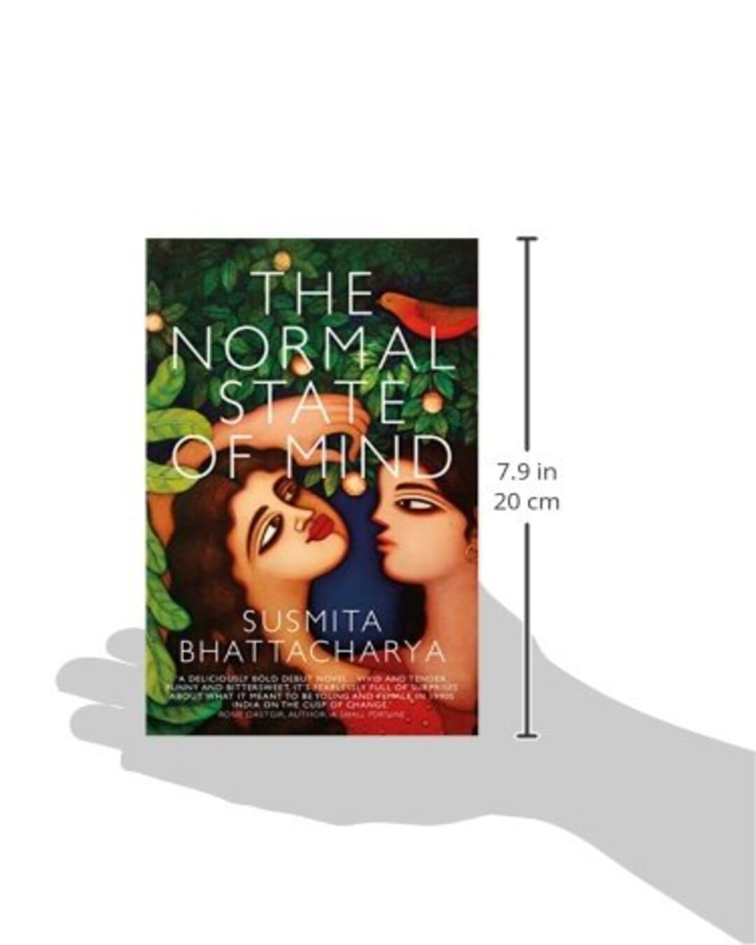 The Normal State Of Mind by Susmita Bhattacharya [Paperback] - versoz.com