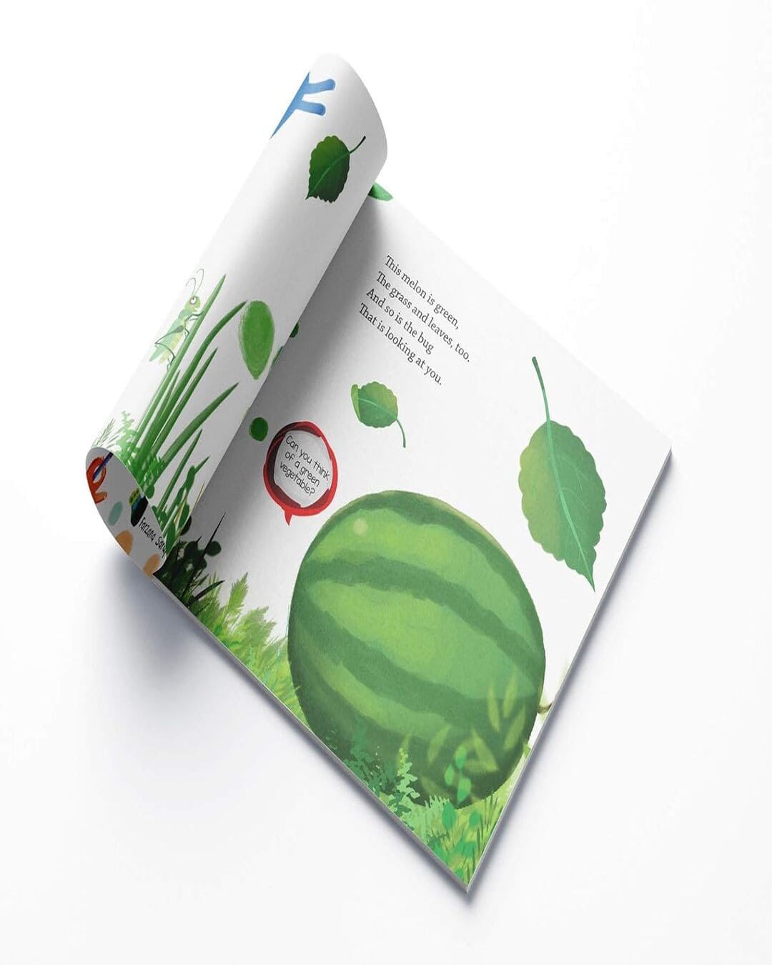 Colors - Illustrated Book On Colors by Farzana Sarup [ Paperback ] - versoz.com