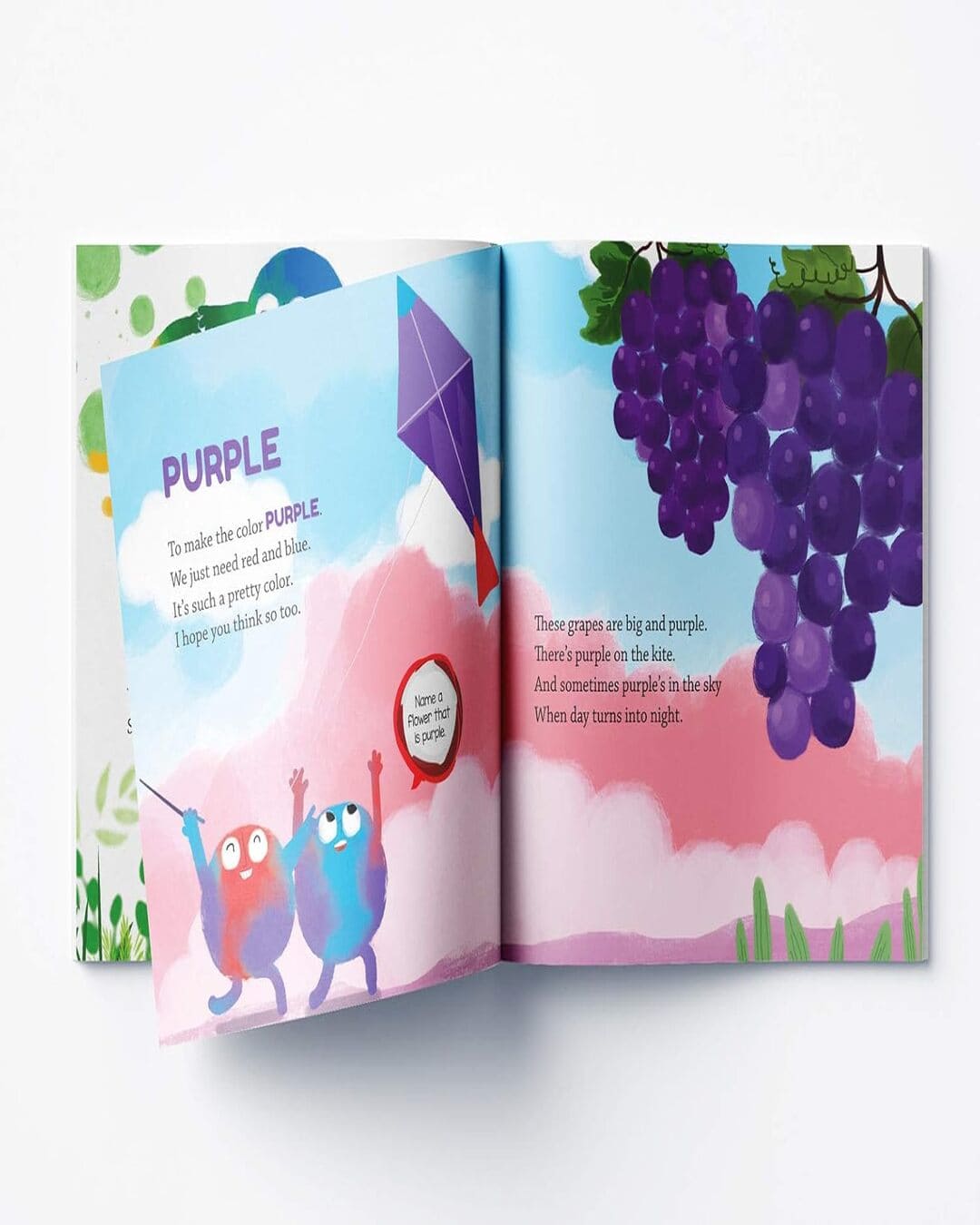 Colors - Illustrated Book On Colors by Farzana Sarup [ Paperback ] - versoz.com