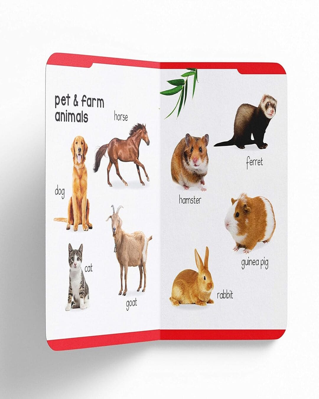 Early Learning Padded Book of Animals : Padded Board Books For Children by Wonder House Books [Board book ] - versoz.com