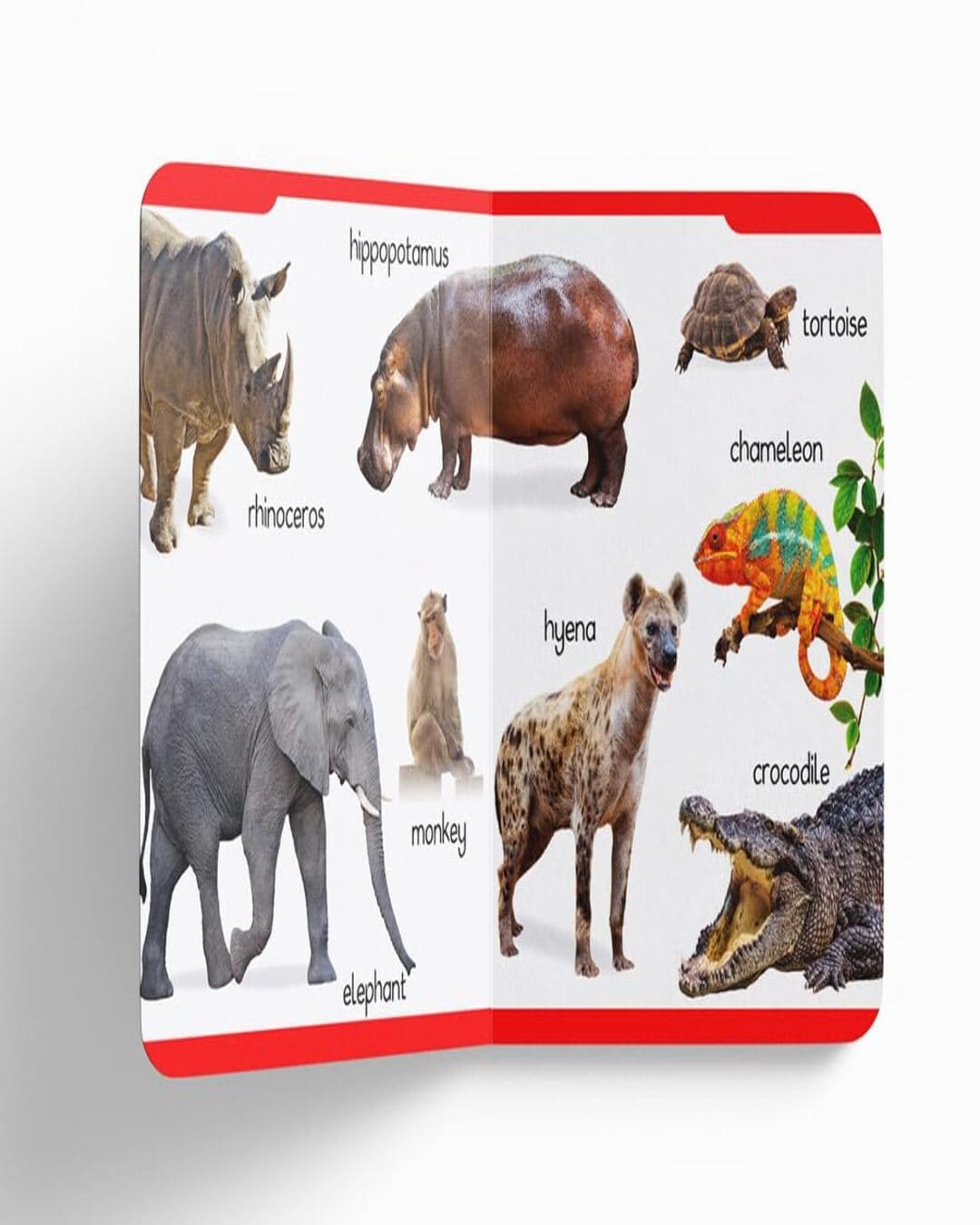Early Learning Padded Book of Animals : Padded Board Books For Children by Wonder House Books [Board book ] - versoz.com