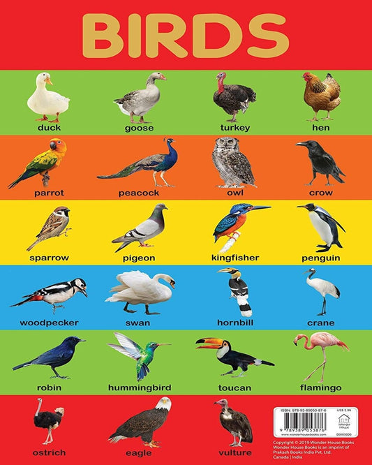 Birds Chart - Early Learning Educational Chart For Kids: Perfect For Homeschooling, Kindergarten and by Wonder House Books [Paperback] - versoz.com
