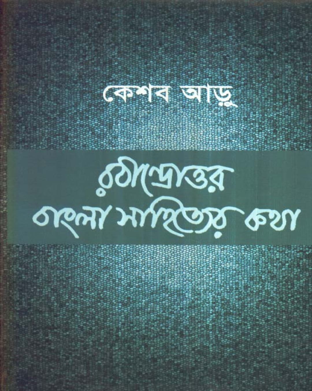 Rabindrattor Bangla Sahityer Katha by Keshab Aru [Hardcover] - versoz.com