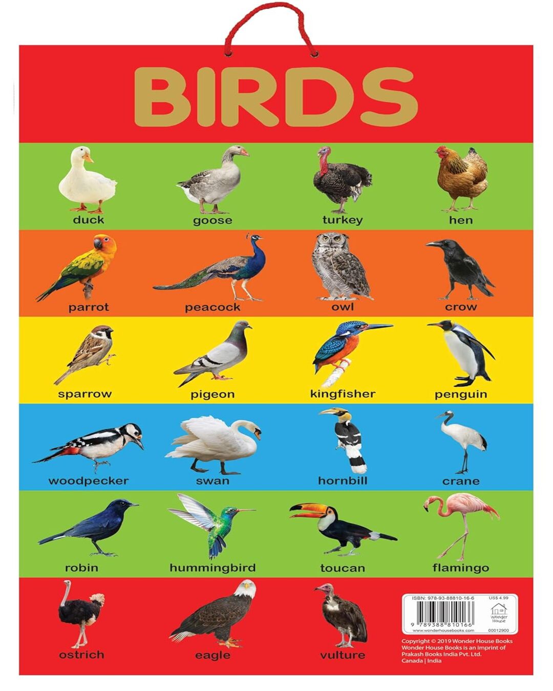 Birds - Early Learning Educational Posters For Children: Perfect For Kindergarten, Nursery and Homes by Wonder House Books [Paperback] - versoz.com