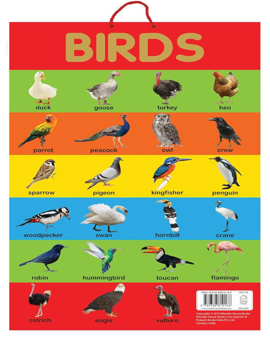 Birds - Early Learning Educational Posters For Children: Perfect For Kindergarten, Nursery and Homes by Wonder House Books [Paperback] - versoz.com