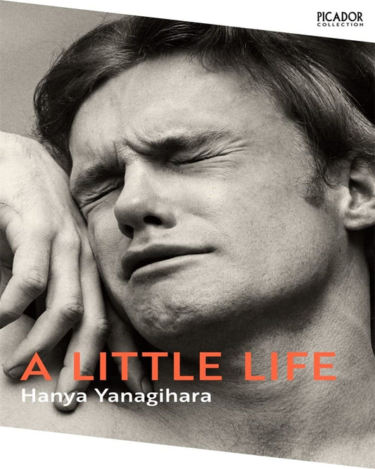 A Little Life by Hanya Yanagihara [Paperback] - versoz.com