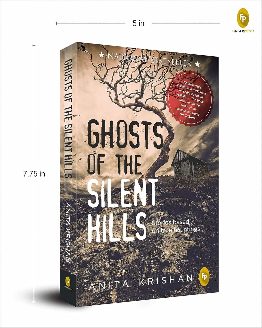 Ghosts of the Silent Hills by Anita Krishan [Paperback] - versoz.com