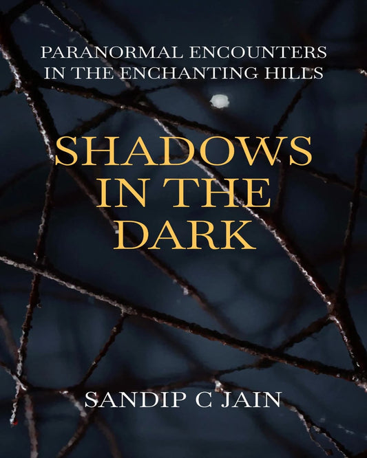 Shadows In The Dark by Sandeep C Jain [Paperback]