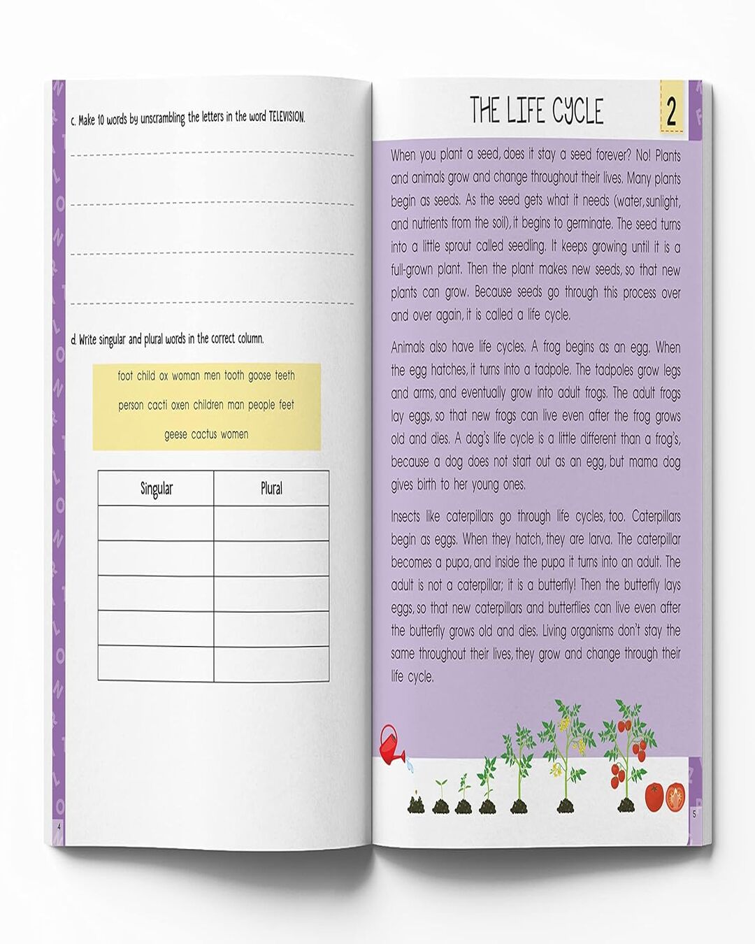 Super Fun Reading Comprehension - Activity Workbook For Children - Level 2 by Wonder House Books [Paperback] - versoz.com