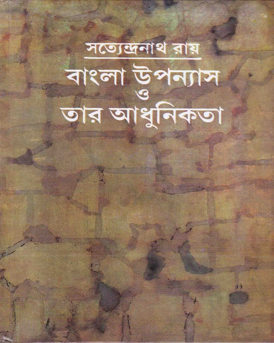 Bangla Upanyas O Tar Adhunikata by Satyendranath Roy [Hardcover] - versoz.com