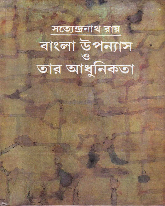 Bangla Upanyas O Tar Adhunikata by Satyendranath Roy [Hardcover] - versoz.com