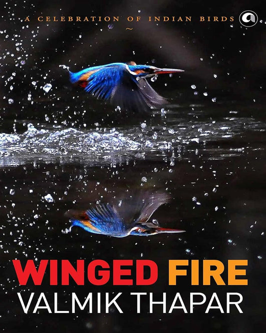 Winged Fire: A Celebration of Indian Birds, Part 3 of The Indian Wildlife Trilogy by Valmik Thapar [Hardcover] - versoz.com