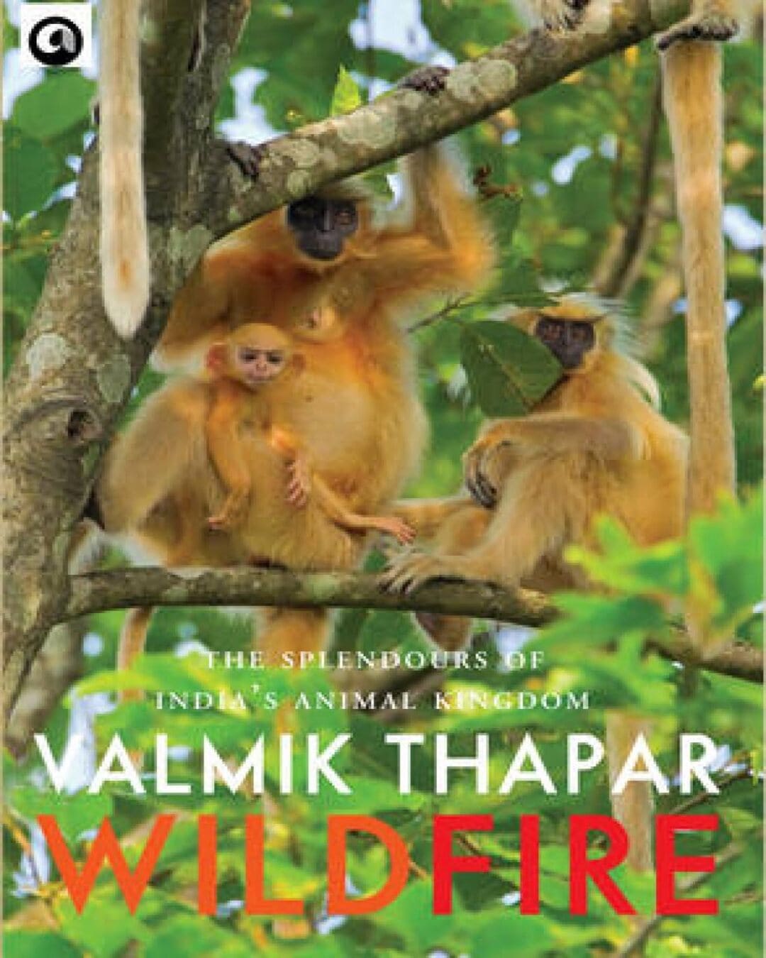 Wild Fire: The Splendours of India's Animal Kingdom, Part 2 of The Indian Wildlife Trilogy by Valmik Thapar [Hardcover] - versoz.com