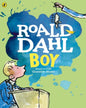 Boy : Tales Of Childhood by Roald Dahl, Quentin Blake (Illustrator) [Paperback] - versoz.com